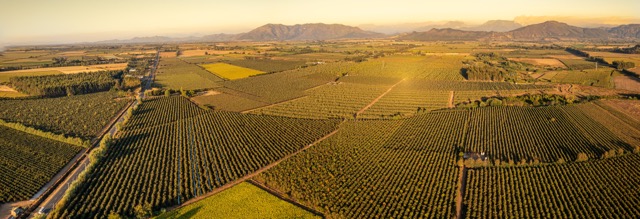 🌾 Qué está pasando con las inversiones agrícolas en Chile (y por qué todos están mirando hacia el campo)