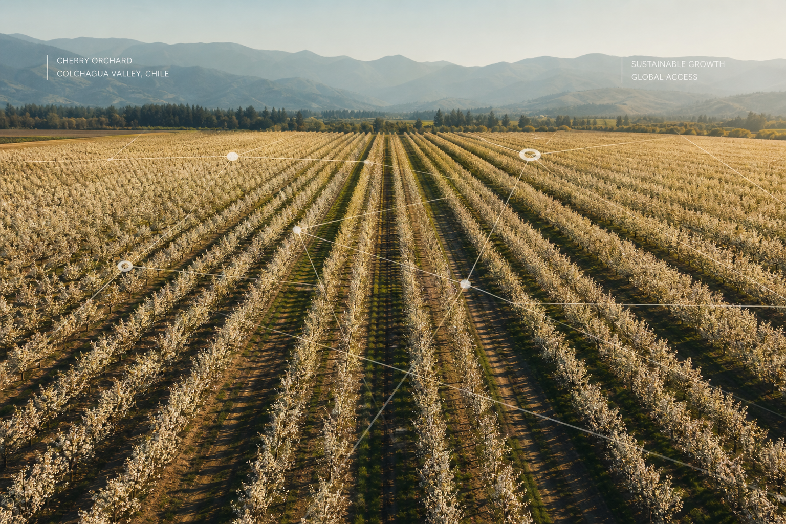 Invertir en activos agrícolas ya no requiere entender cómo funciona la tecnología detrás
